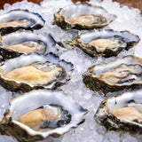 Raw Carlsbad Oysters on Ice