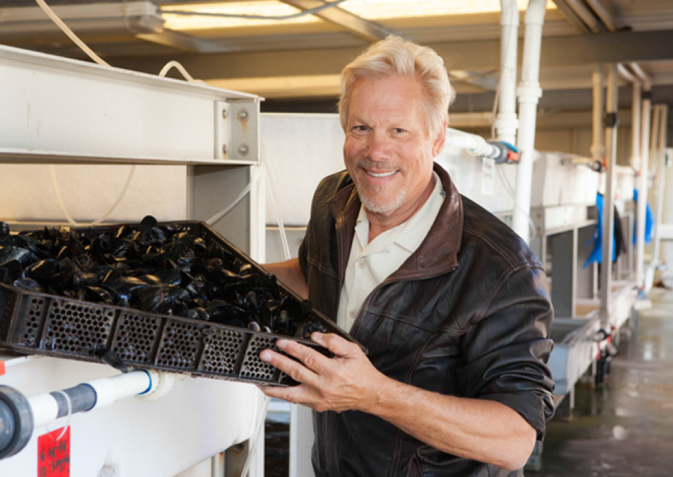 Owner & CEO, Thomas Grimm, holding a tray of Carlsbad Aquafarm mediterranean mussels. 