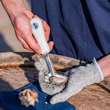 Shucking glove in use to safely shuck a Carlsbad Oyster